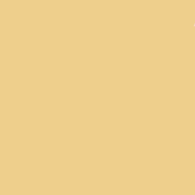 2023-glasses-dad - beard blonde