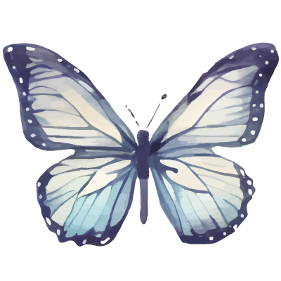 Motyl-Babcia-2