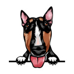 Black Animal-Dog-Bull-Terrier-mffeabfdyr-Color-Peeking