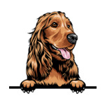 Brown Animal-Dog-Cocker-Spaniel-kkkmffeabfdy-Color-Peeking
