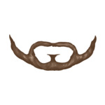 Beard---Brown