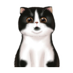 Short Hair Cat--(10)
