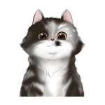 Long Hair Cat--(11)