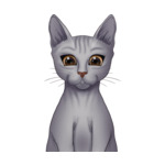 Sphinx Cat--(3)