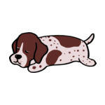 Mix Dalmatian1