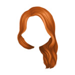 ginger F11-(2)