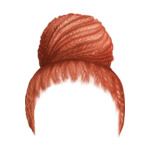 ginger F22-(5)