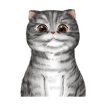 Short Hair Gray-Black-Stripes