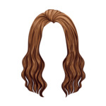 brunet Hair-2-(3)