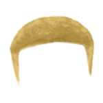 Blonde Male--Style-2
