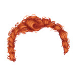 Ginger Male--Style-3