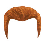 Ginger Medium---Ginger