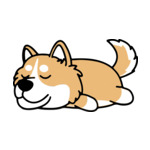 Mix Shiba