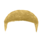 Blonde Short---Blonde