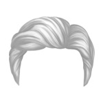 Gray Style-2