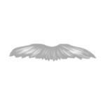 beard-2-(3)