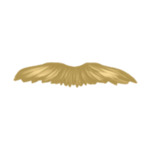 beard-2-(4)