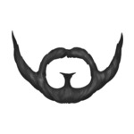 beard-3-(6)