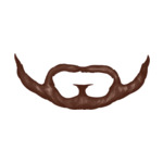 Zarost brązowy beard-style-1-(8)