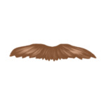 beard-style-2-(10)