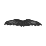 Zarost czarny beard-style-2-(7)