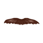 Zarost brązowy beard-style-2-(8)