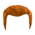 Rude hair-man-1-(15)