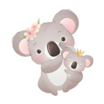 koala