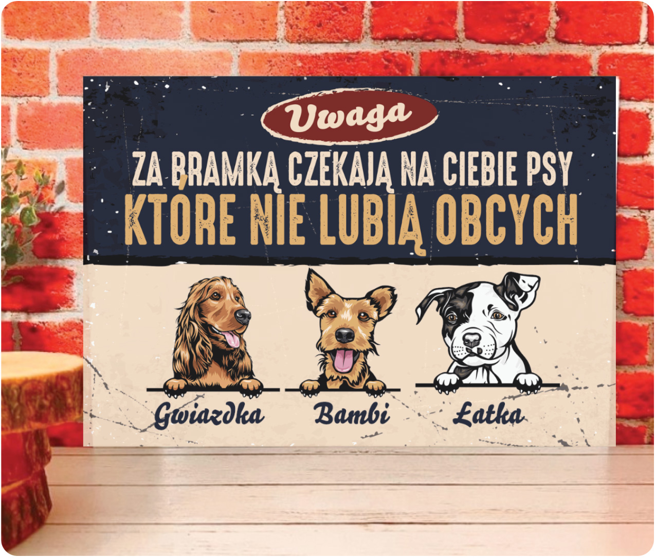 Tabliczka - Psy nie lubią obcych