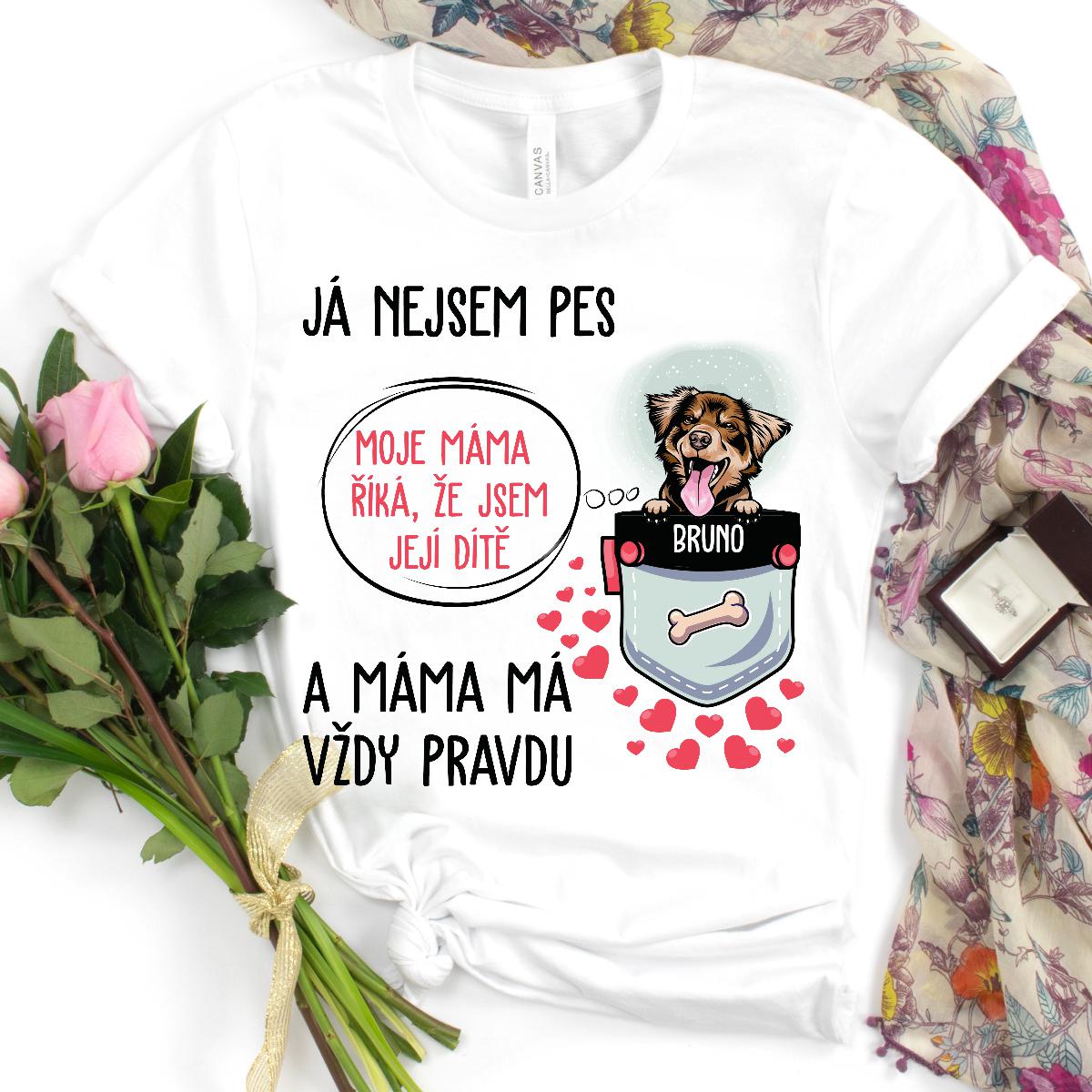 Já nejsem pes