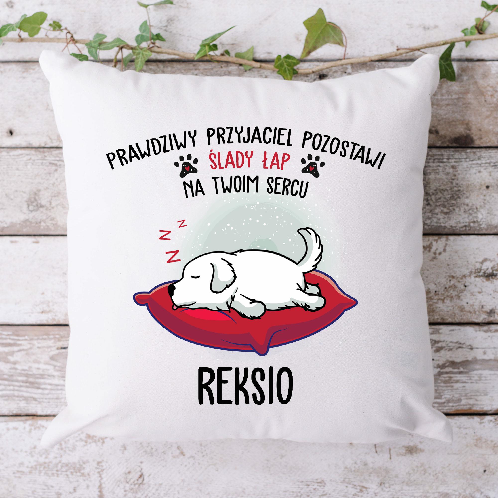 Prawdziwy przyjaciel - Poduszka